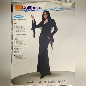 Macabre Mistress Costume Witch, Small